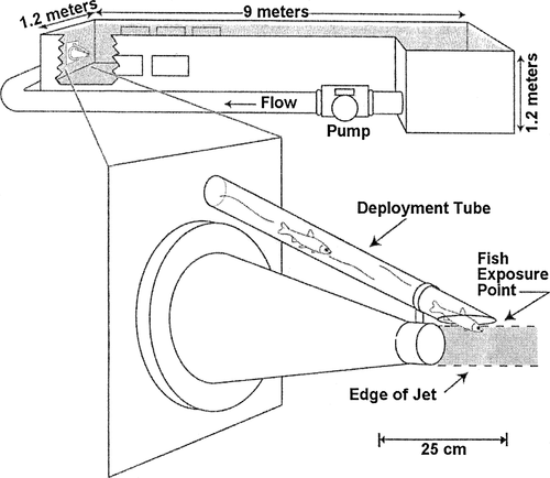 Details are in the caption following the image