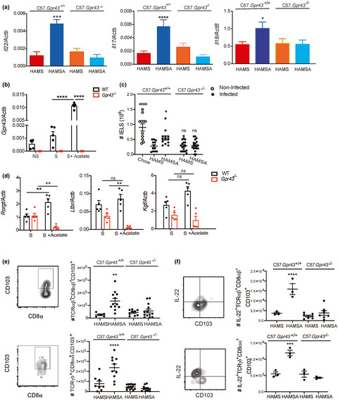An acetate-yielding diet imprints an immune and anti-microbial programme against enteric infection