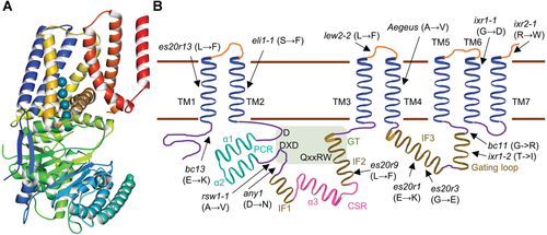 Details are in the caption following the image Details are in the caption following the image