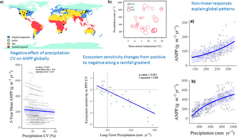 Effect of interannual precipitation variability on dryland productivity: A global synthesis