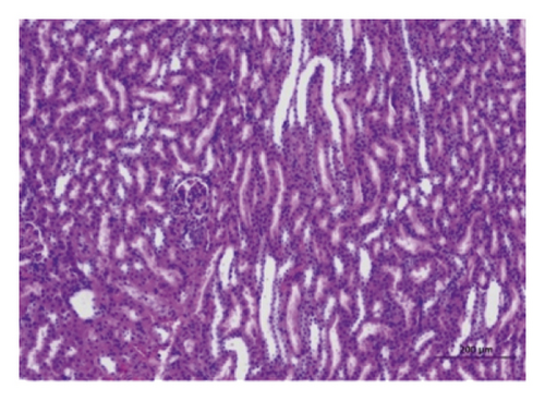 Details are in the caption following the image
