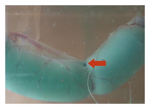 Details are in the caption following the image Details are in the caption following the image