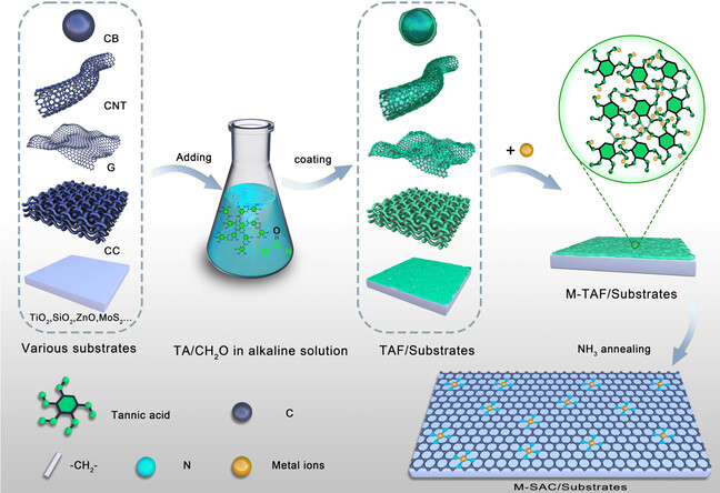 A Universal Single-Atom Coating Strategy Based on Tannic Acid Chemistry for Multifunctional Heterogeneous Catalysis