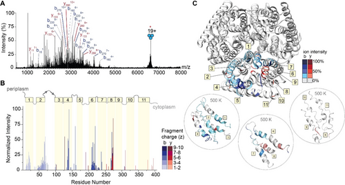 Details are in the caption following the image Details are in the caption following the image