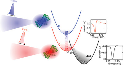Ultrafast Excitonic Transitions in Enantiopure and Racemic Squaraine Thin Films Issue 3, 2025