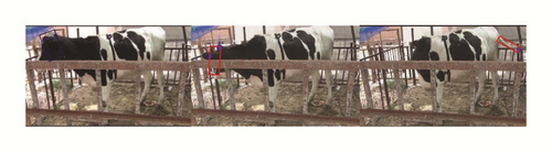 Details are in the caption following the image Details are in the caption following the image