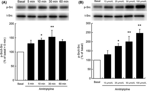 Antidepressant amitriptyline-induced matrix metalloproteinase-9 activation is mediated by Src family tyrosine kinase, which leads to glial cell line-derived neurotrophic factor mRNA expression in rat astroglial cells