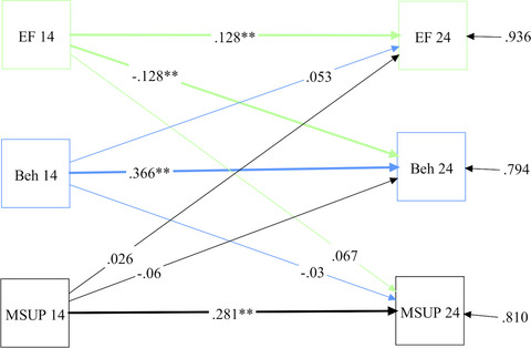 Understanding the terrible twos: A longitudinal investigation of the impact of early executive function and parent–child interactions