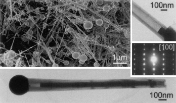 Sn-Filled Single-Crystalline Wurtzite-Type ZnS Nanotubes