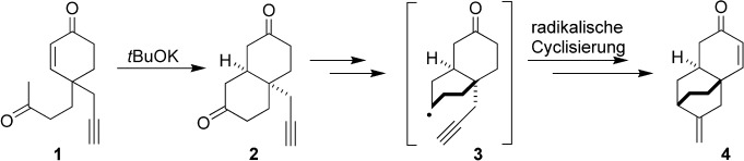 A Symmetry-Based Concise Formal Synthesis of Platencin, a Novel Lead against “Superbugs”