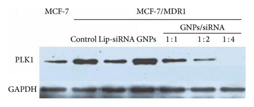Details are in the caption following the image