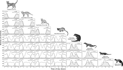 Temporal interactions and moon illumination effect on mammals in a tropical semievergreen forest of Manas National Park, Assam, India
