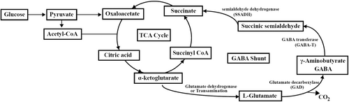 Details are in the caption following the image