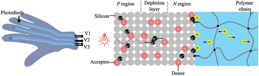 Optoionic Sensing