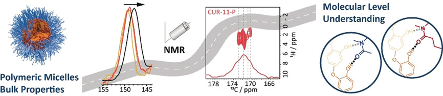 Loading-Dependent Structural Model of Polymeric Micelles Encapsulating Curcumin by Solid-State NMR Spectroscopy