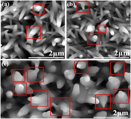Morphology Effect of 1D ZnO Nanostructures Designed by Hydrothermal and Thermal Annealing for Fast Ultraviolet Photodetector Applications