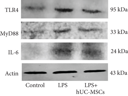 Details are in the caption following the image