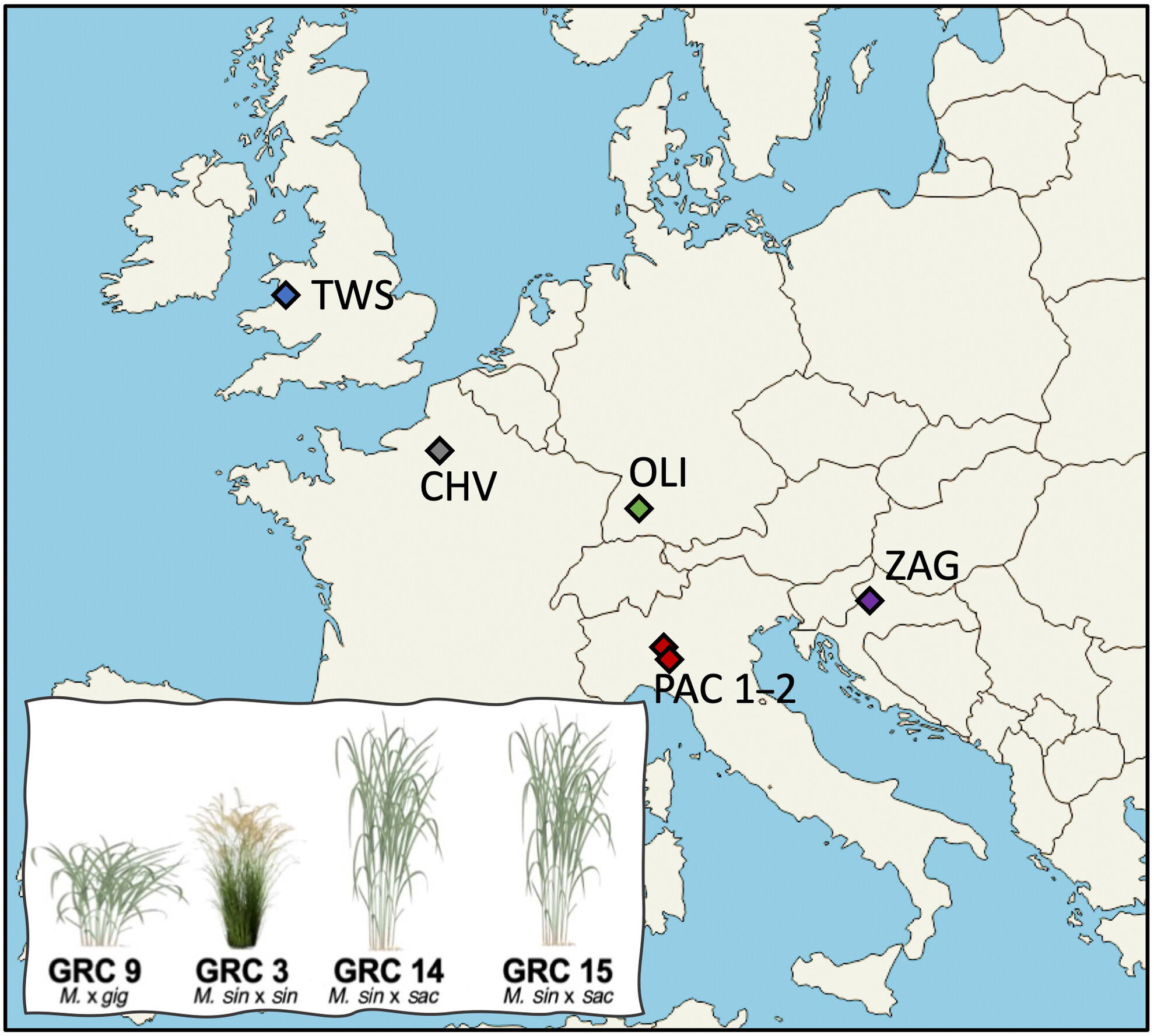Early impacts of marginal land-use transition to Miscanthus on soil quality and soil carbon storage across Europe