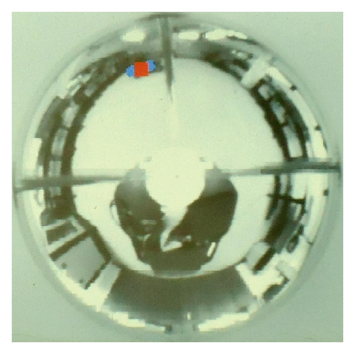 Details are in the caption following the image Details are in the caption following the image