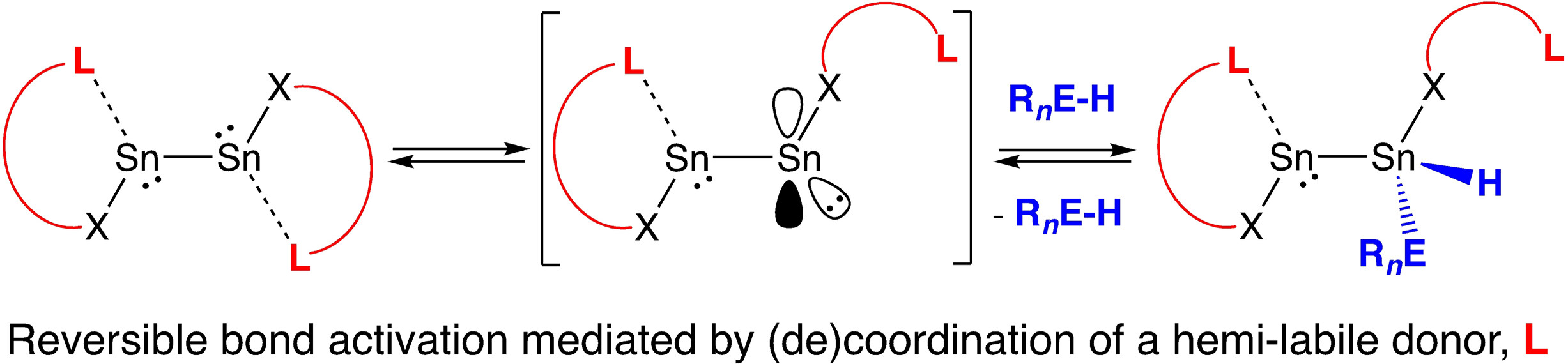 Controlling Oxidative Addition and Reductive Elimination at Tin(I) via Hemi-Lability
