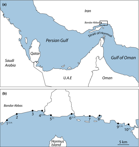 Details are in the caption following the image Details are in the caption following the image