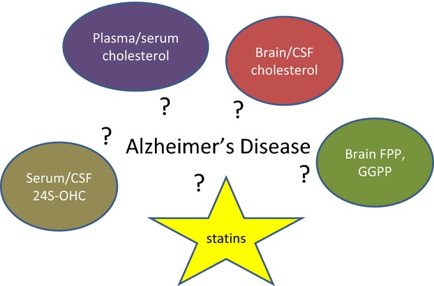 Cholesterol as a causative factor in Alzheimer's disease: a debatable hypothesis
