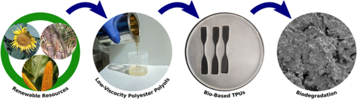 Renewable low viscosity polyester-polyols for biodegradable thermoplastic polyurethanes