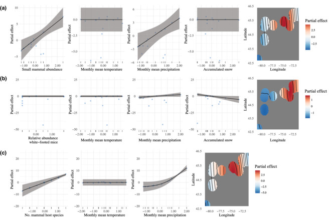High-resolution environmental and host-related factors impacting questing Ixodes scapularis at their northern range edge