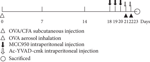 Details are in the caption following the image