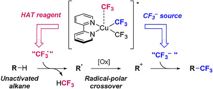Direct C(sp3)−H Trifluoromethylation of Unactivated Alkanes Enabled by Multifunctional Trifluoromethyl Copper Complexes