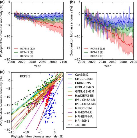 Consistent trophic amplification of marine biomass declines under climate change