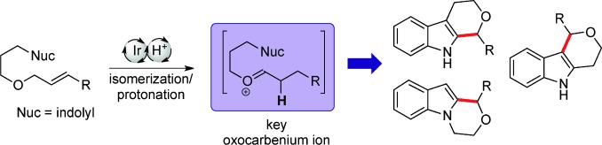 A Tandem Isomerization/Prins Strategy: Iridium(III)/Brønsted Acid Cooperative Catalysis