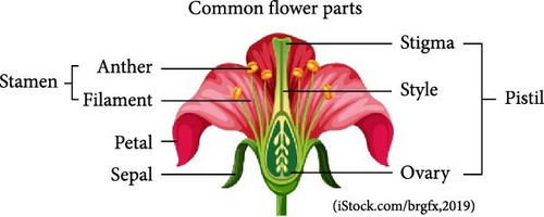 Details are in the caption following the image