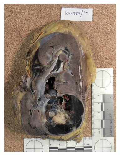 Details are in the caption following the image Details are in the caption following the image