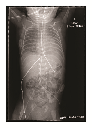 Details are in the caption following the image Details are in the caption following the image