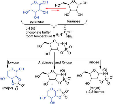 Selection of Ribofuranose-Isomer Among Pentoses by Phosphorylation with Diamidophosphate