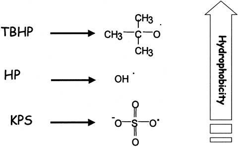 Knowledge-based choice of the initiator type for monomer removal by postpolymerization