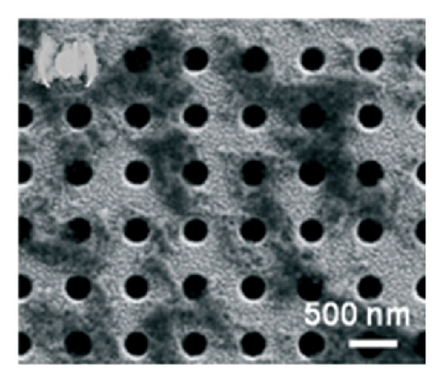 Details are in the caption following the image