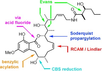 Concise Total Synthesis of Cruentaren A