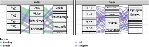 Details are in the caption following the image