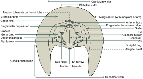 Details are in the caption following the image