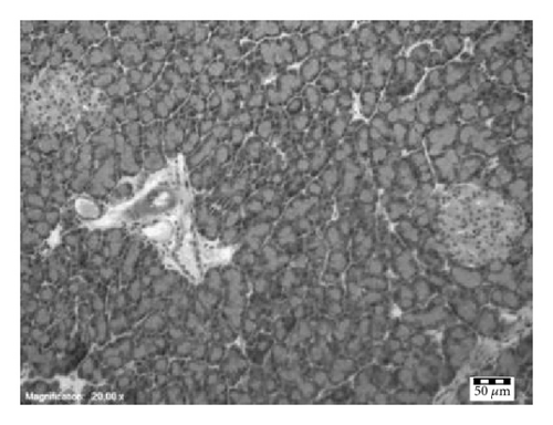 Details are in the caption following the image