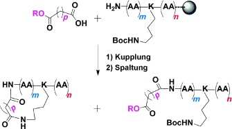 A Tandem In Situ Peptide Cyclization through Trifluoroacetic Acid Cleavage