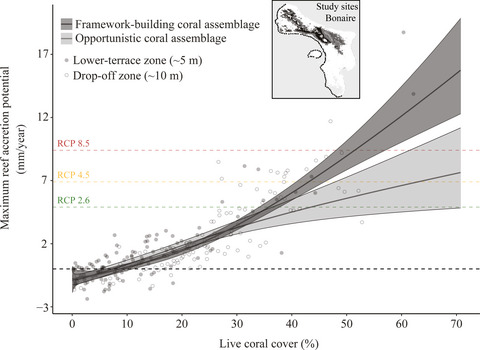 Extreme spatial heterogeneity in carbonate accretion potential on a Caribbean fringing reef linked to local human disturbance gradients