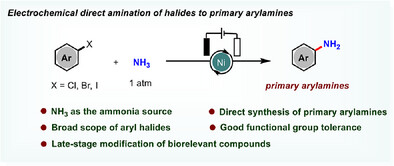 Electrochemical Amination of Aryl Halides with NH3