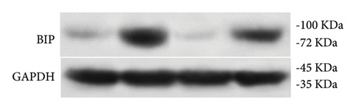 Details are in the caption following the image