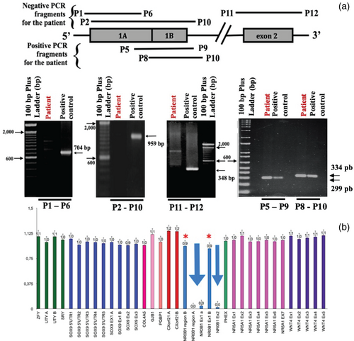 Details are in the caption following the image Details are in the caption following the image