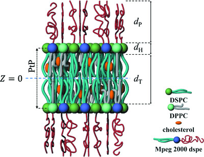 Revealing cholesterol effects on PEGylated HSPC liposomes using AF4–MALS and simultaneous small- and wide-angle X-ray scattering