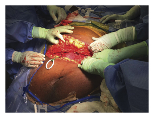Details are in the caption following the image Details are in the caption following the image