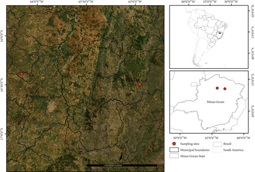 Details are in the caption following the image Details are in the caption following the image